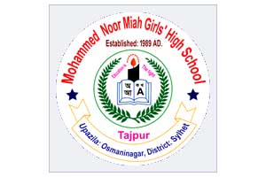 Mohammed Noor Miah Girls' High School